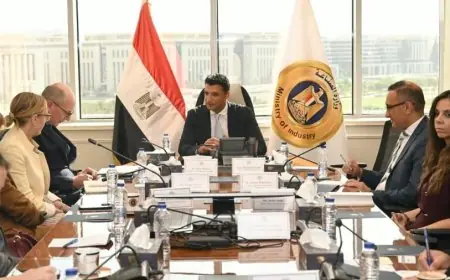وزير الصناعة يناقش مشروعات التعاون مع وفد البنك الأوروبي في مصر لتعزيز التنمية الاقتصادية