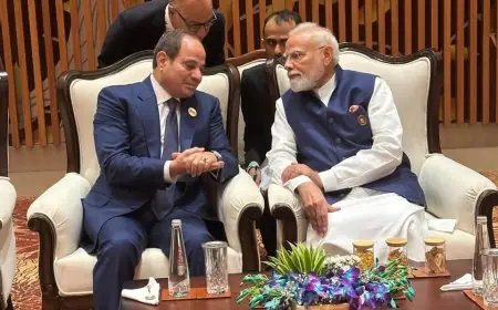 الرئيس السيسي يشدد على أهمية الحلول السلمية للأزمات وتعزيز الالتزام بالقانون الدولي