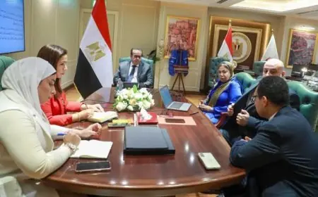 وزير الصحة يناقش تعزيز التعاون مع رئيس الأمانة الفنية للمجلس الوطني للتعليم والبحث والابتكار