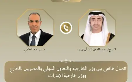 مباحثات هامة بين وزيري خارجية مصر والإمارات حول التطورات الإقليمية