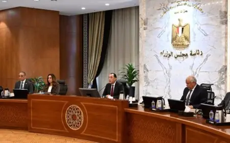 مدبولي يأمر بتحويل المحافظات إلى واحات خضراء ومنع قطع الأشجار لاستغلال المساحات الخالية