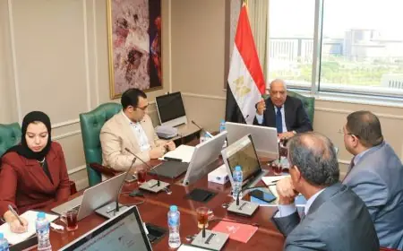 وزير الكهرباء يعلن خطوات هامة لتنظيم وإدارة سوق الكهرباء