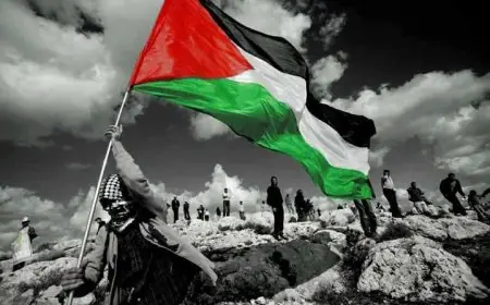 ماليزيا والمالديف تعلنان تأييدهما لإقامة دولة فلسطين المستقلة