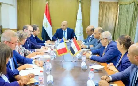 وزير التعليم والسفير الفرنسي يناقشان تعزيز التعاون التعليمي بين البلدين