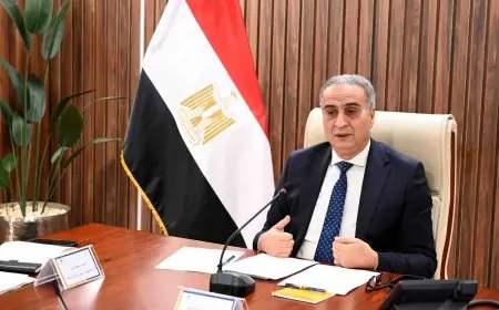 حماية المستهلك تتدخل بعد حادث الشاحنة لمنع بيع 8 سيارات متضررة كجديدة