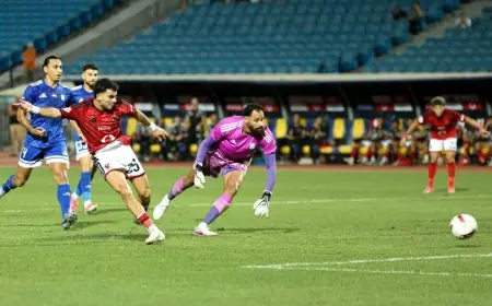 الأهلي يتصدر الدوري المصري مؤقتًا بفوز مثير على أبو قير للأسمدة بثنائية