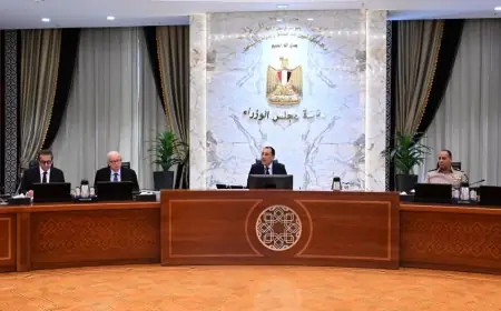 موافقة مجلس الوزراء على إعادة هيكلة وزارتي الاستثمار والتموين لتحقيق نمو اقتصادي شامل