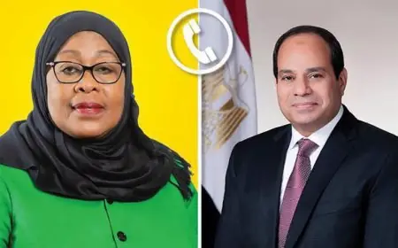 السيسي يعلن استمرار دعم مصر لتنمية تنزانيا وتعزيز التعاون بين البلدين