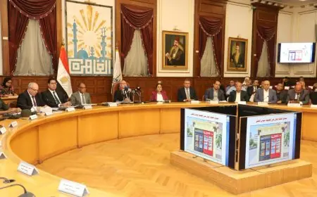 القاهرة تستعد لزراعة 60 ألف شجرة بحلول 2026 لتعزيز جمال المحافظة