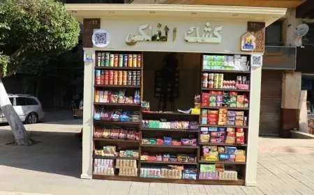 القاهرة تطلق منظومة الأكشاك الموحدة الجديدة في جميع أحياء العاصمة