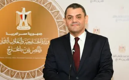 تعيين السفير نادر زكي متحدثاً رسمياً جديداً لوزارة الخارجية بقرار من وزير الخارجية