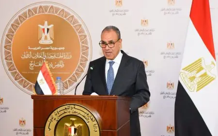 وزير الخارجية يؤكد: منتدى أفريقيا-العلمين فرصة ذهبية لالتقاء القطاع الخاص والمؤسسات الاستثمارية والمالية في القارة الأفريقية