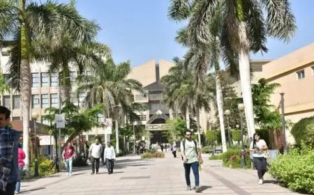غداً بدء العام الدراسي بالجامعات والمعاهد: 4 ملايين طالب وطالبة ينطلقون في رحلتهم التعليمية
