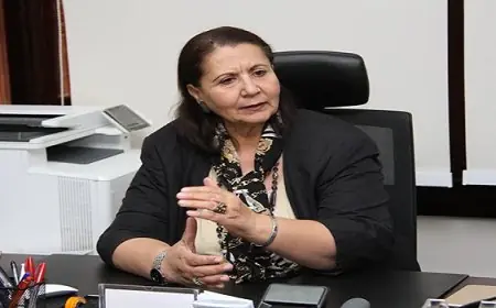 عالية المهدي تكشف سر تراجع التضخم وارتفاعه المستمر