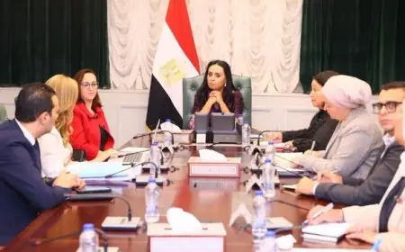 وزيرة التضامن تسعى لتعزيز التعاون وتطوير الحضانات