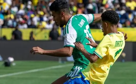 سيطرة إفريقية: صنداونز يفوز بكأس القارات الثلاث أمام أبطال آسيا