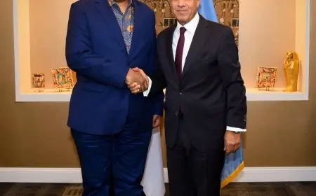 وزير الخارجية يناقش مع نظيره التنزاني تعزيز العلاقات الثنائية وتنسيق المواقف الإقليمية