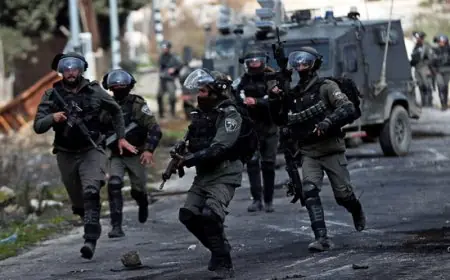 جيش الاحتلال يعلن إحباط محاولة دهس جنود إسرائيليين بإطلاق النار عند حاجز غنيم في الضفة الغربية
