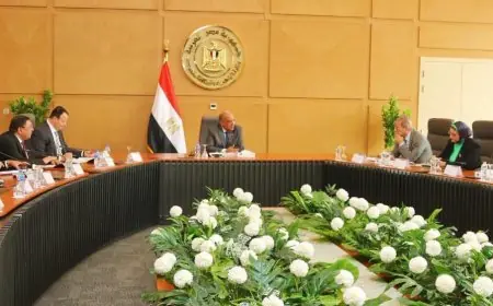 اجتماع برئاسة وزير الكهرباء لمتابعة خطة تشغيل وتأمين الشبكة القومية