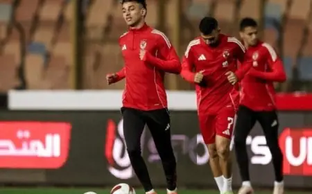تعزيز صفوف منتخب مصر بانضمام 3 محترفين قبل المرحلة القادمة