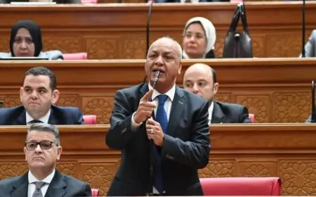 مصطفى بكري يعد مشروع قانون جديد لتعديل رواتب هيئات التدريس والجهات المعاونة في الجامعات