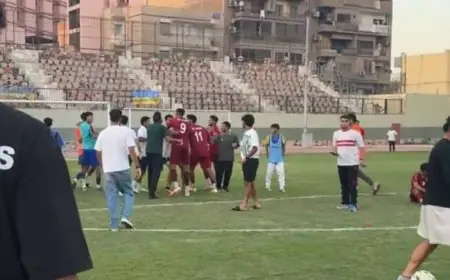 قرارات حاسمة من لجنة المسابقات: إحالة مدرب حراس النصر للانضباط بعد مواجهة طنطا