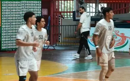 المنتخب المصري لكرة اليد يحافظ على هيمنته في إفريقيا