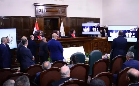 التحديات التي تواجه المحامين مع رقمنة المحاكم وتطبيق النظام الجديد
