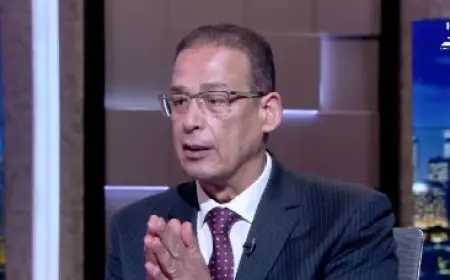 السفير المصري السابق في تل أبيب: إسرائيل تدعم قوات الدعم السريع لزعزعة استقرار مصر
