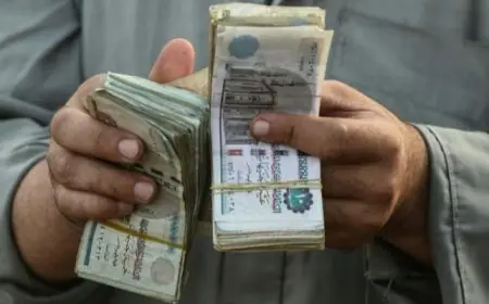 وزيرة التضامن تدعو للتحقيق الفوري في شكوى مواطن من ذوي الإعاقة في الإسكندرية