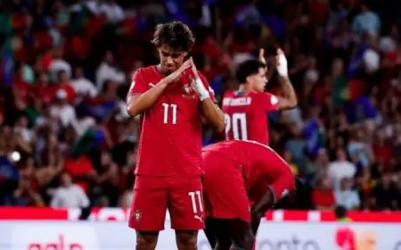 البرتغال تحقق فوزاً صعباً على ويلز في انطلاقتها بدوري الأمم الأوروبية «فيديو»