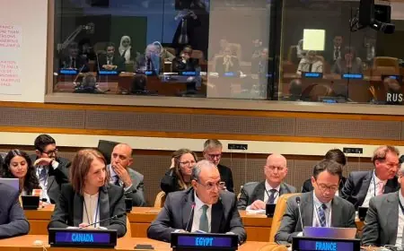وزير الخارجية يحضر اجتماعاً حاسماً للجنة تنسيق المساعدات لدعم الشعب الفلسطيني