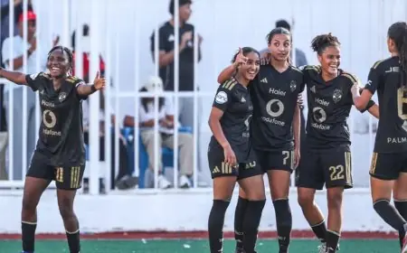 تعرف على توقيت مباراة الأهلي وسموحة في دوري الكرة النسائية