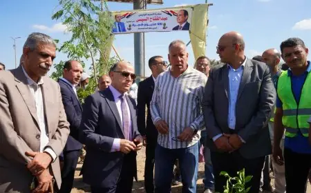 الغربية تطلق المرحلة الخامسة من مبادرة 100 مليون شجرة بزراعة 300 شجرة جديدة في طريق طنطا–المحلة
