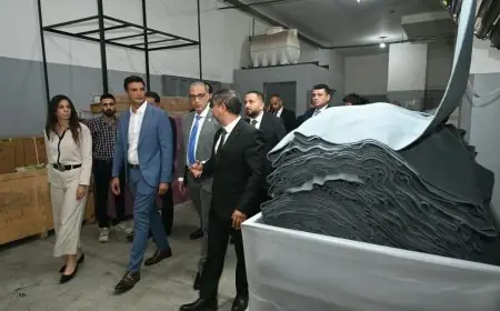 جولة وزير الصناعة ومحافظ الجيزة في مصنعين للغزل والنسيج بالمنطقة الصناعية الرابعة لتعزيز التنمية الصناعية
