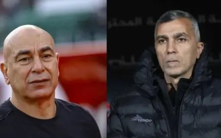 أسامة نبيه لـNNI مصر: منتخب مصر يؤثر على مزاج الشعب المصري.. ومستوى أداء الفريق أمام أنجولا كان متوقعًا