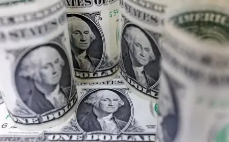 الدولار يتراجع دون 52 جنيهًا أمام الجنيه اليوم في البنوك المصرية