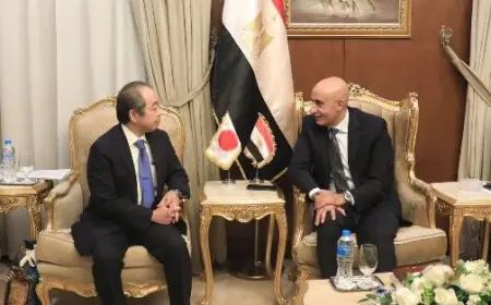 مصر واليابان تسعيان لزيادة عدد المدارس اليابانية إلى 500 مدرسة