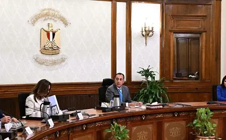 رئيس الوزراء يراقب تقدم مشروع تخضير القاهرة الكبرى