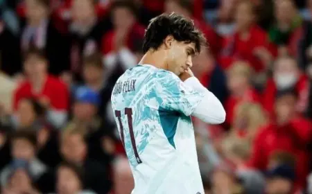 البرتغال تتقدم على النرويج بهدف في الشوط الأول بدوري الأمم الأوروبية «فيديو»