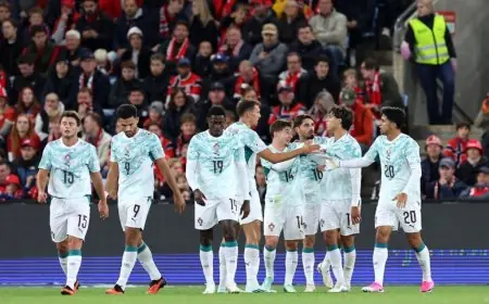 البرتغال تنتزع الصدارة في المجموعة الرابعة بدوري الأمم الأوروبية بعد فوزها على النرويج