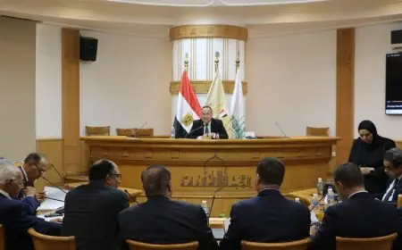 التحول الرقمي: الأساس الاستراتيجي وراء تطوير معرض القاهرة للكتاب وزير التعليم العالي يصرح بذلك