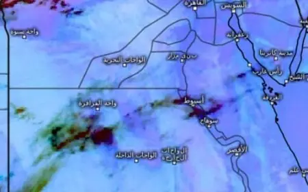 الأرصاد الجوية تعلن استمرار هطول الأمطار اليوم على الوجه البحري والسواحل الشمالية