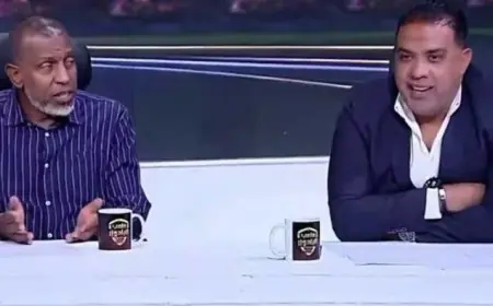 قرار من الأعلى للإعلام بحظر ظهور ربيع ياسين وأسامة حسن لمدة شهر