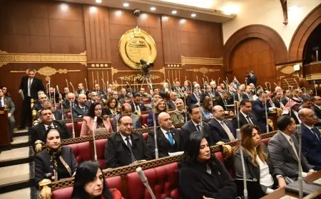 الرئيس السيسي يدعو لانعقاد مجلس الشيوخ في العاصمة الجديدة يوم الخميس المقبل