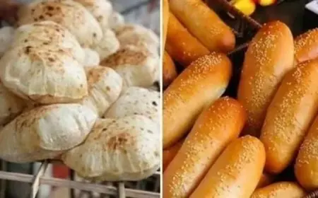 التموين تكشف أسعار الخبز السياحي والفينو بحد أقصى جنيهان