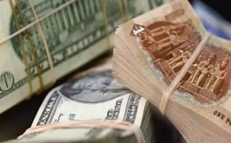 قفزة تاريخية سعر الدولار يتجاوز 52 جنيها أمام الجنيه في البنوك