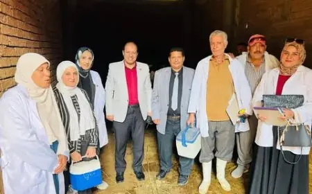 محافظة الدقهلية تحقق إنجازاً في تحصين 254 ألف رأس ماشية ضد الحمى القلاعية والوادي المتصدع