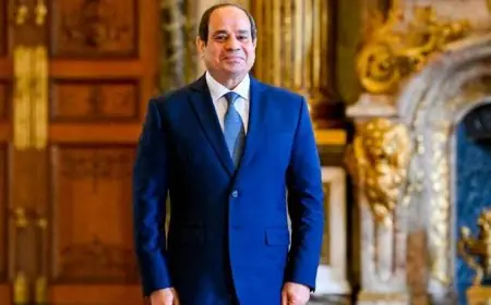 الرئيس السيسي يؤكد تأثير أحداث 2011 على انكماش الاقتصاد المصري