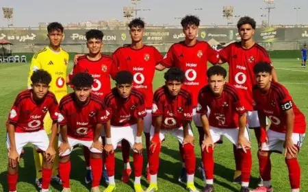 انتصار مثير لأهلي 2010 على بتروجت بنتيجة 3-2 في بطولة الجمهورية